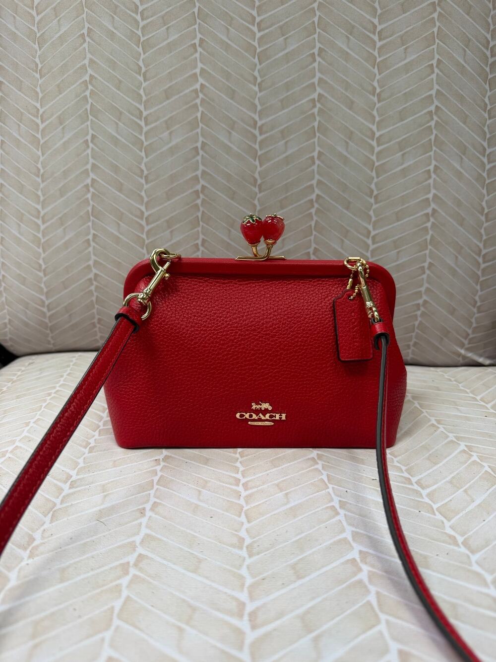 Coach Nora Small Strawberry Kisslock Bag